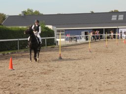 img_7477_web